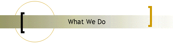 What We Do